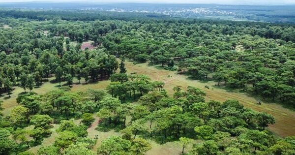 Gia Lai chấp thuận cho thành viên FLC làm sân golf Đak Đoa 1.150 tỷ đồng