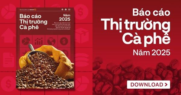 [Báo cáo] Thị trường cà phê năm 2025: Giá cà phê chinh phục kỷ lục mới, áp lực tăng vào cuối năm