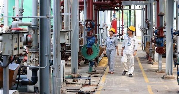 Ban hành 5 văn bản thi hành Luật Hoá chất không để gián đoạn sản xuất