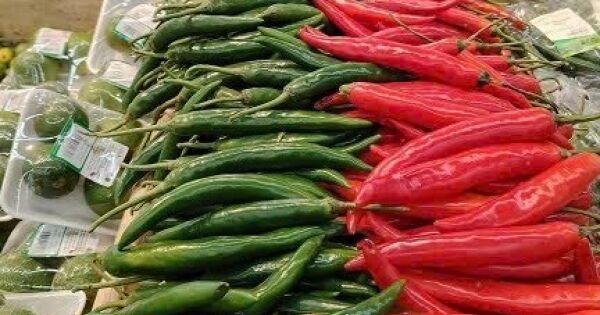 Xuất khẩu ớt kỷ lục đạt hơn 2.600 tỷ đồng