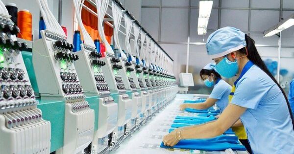 Một công ty dệt may có tới 2/3 doanh thu đến từ cho thuê sân pickleball