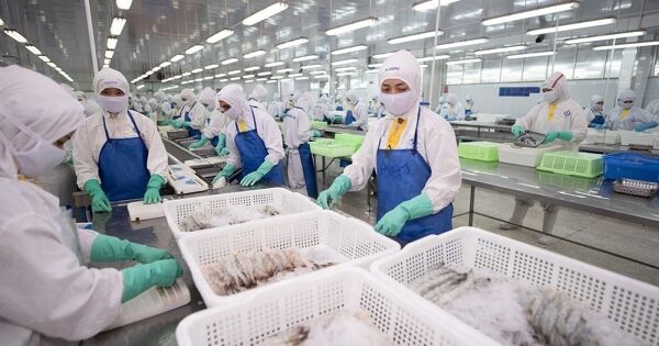 Nhờ đâu Sao Ta lãi ròng kỷ lục?