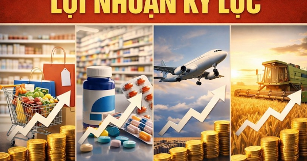 Lộ diện nhiều khoản lãi kỷ lục năm 2025