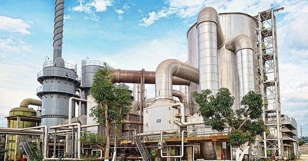 Cổ phiếu DGC của Hoá chất Đức Giang tăng trần hai phiên sau thông tin không bị loại khỏi VN30 như dự báo