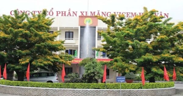 Công ty xi măng 32 năm tuổi đối mặt nguy cơ bị hủy niêm yết