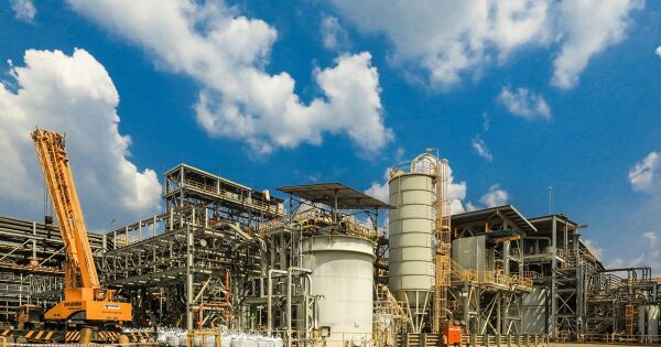 Cổ phiếu 'họ Masan' nổi sóng với tin kết quả 2025 khởi sắc, MSR bứt phá khi thoát lỗ nghìn tỷ