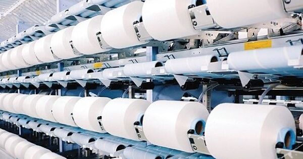 Lợi nhuận Sợi Thế Kỷ bật 4 lần từ vùng đáy