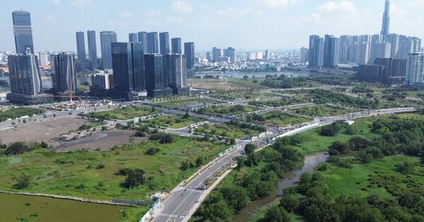 Nâng tiền cọc đấu giá đất có phải là 'liều thuốc mạnh' với đầu cơ?