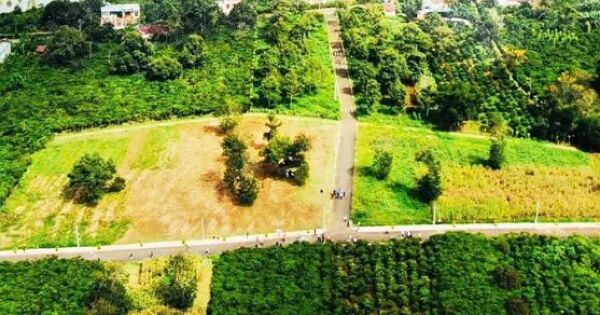 Chủ tịch Tập đoàn Sam Group bị truy nã