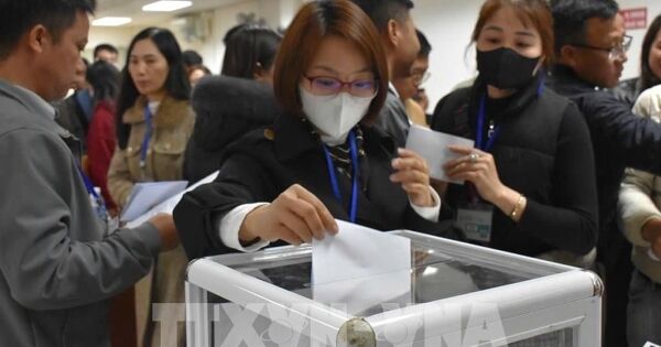 Người trúng đấu giá không nộp tiền trúng đấu giá sẽ bị cấm tham gia đấu giá tới 5 năm