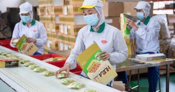 Bibica chốt chia thêm cổ tức 2024 ở mức 35.350 đồng/cp