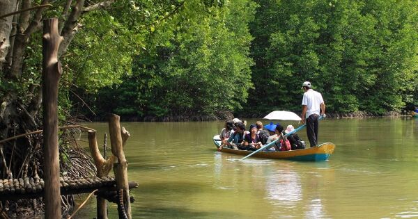 Biến bãi biển bùn đen thành 'mỏ vàng' Wellness tỷ đô và bài toán định vị của Vinpearl tại Cần Giờ