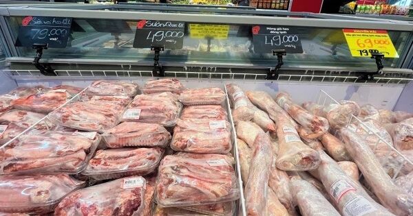 Nhập khẩu thịt heo năm 2026 tiếp tục tăng?