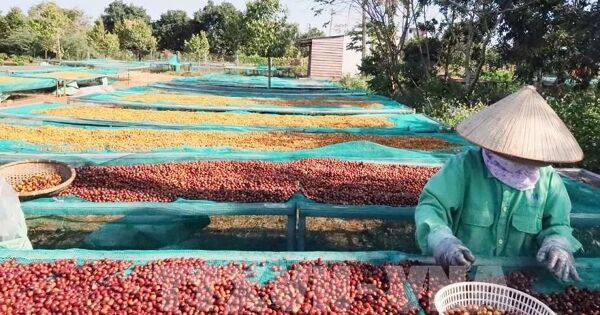 Mở rộng dư địa xuất khẩu nông lâm thủy sản, hướng tới mục tiêu 74 tỷ USD