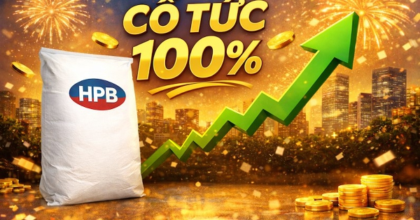 Một doanh nghiệp chi trả cổ tức 100% tiền mặt, cổ phiếu tăng kịch trần