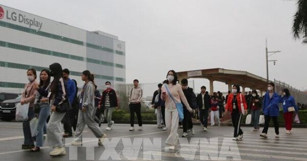 Hải Phòng: Nhiều doanh nghiệp có đơn hàng ổn định và tăng sau Tết