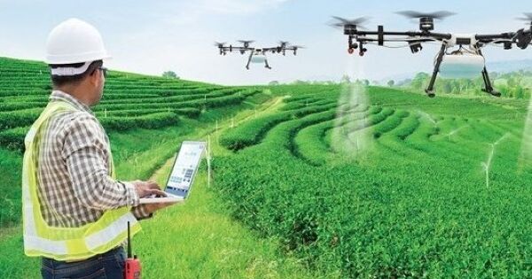 Nông nghiệp dẫn đầu mức lương trần CEO