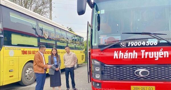 Doanh nghiệp vận tải điều chỉnh hoạt động để giữ giá cước