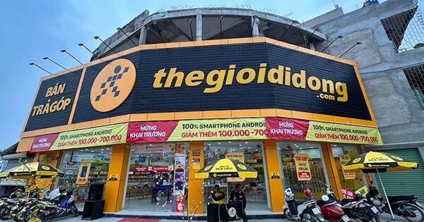 CEO kỳ vọng chia tiền mặt nhiều hơn, MWG công bố tờ trình chi cổ tức kỷ lục gần 3.000 tỷ đồng