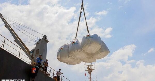 Xuất khẩu gạo chững lại, giá giảm nhẹ do áp lực chi phí vận tải