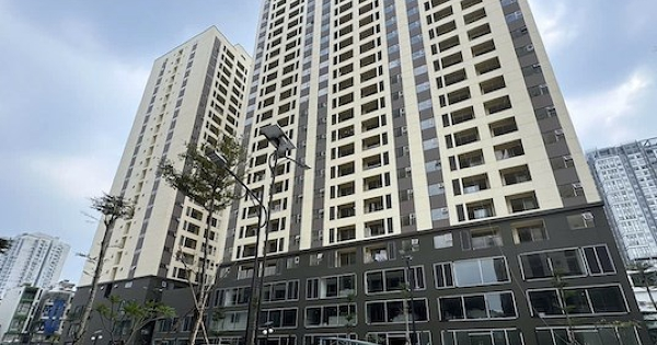 Sở Xây dựng TP HCM yêu cầu chủ đầu tư sớm nhận hồ sơ mua nhà xã hội Lý Thường Kiệt