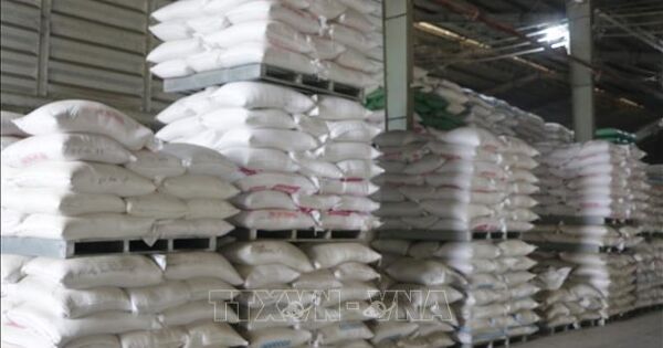Giá gạo Việt Nam nhích tăng sau vụ Đông Xuân, Ấn Độ duy trì ổn định
