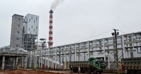Một công ty phân bón lãi đột biến gần 18 lần trong quý đầu năm