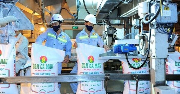 Thêm doanh nghiệp phân bón báo lãi quý I tăng gần gấp đôi