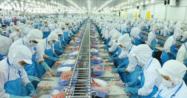 Vĩnh Hoàn sẽ mua khớp lệnh 15 triệu cổ phiếu từ 20/4