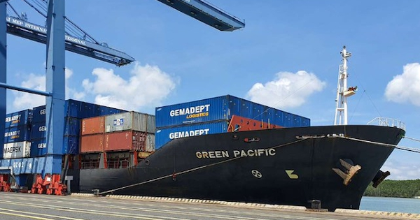 Cổ đông Gemadept sắp nhận cổ tức 2.200 đồng/cp