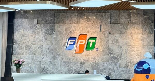 FPT Telecom không đáp ứng điều kiện công ty đại chúng