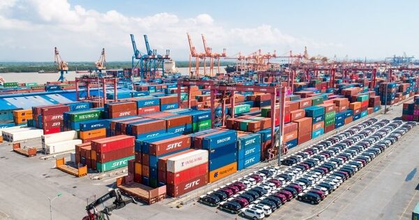 Cổ đông DVP sắp nhận cổ tức tiền mặt tỷ lệ 50%