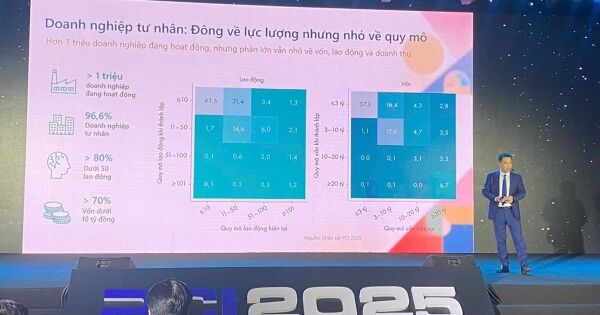 Lộ diện ba địa phương dẫn đầu cả nước về hiệu quả kinh tế tư nhân (BPI), tỷ lệ doanh nghiệp sống sót, sinh lời và vươn lên cao