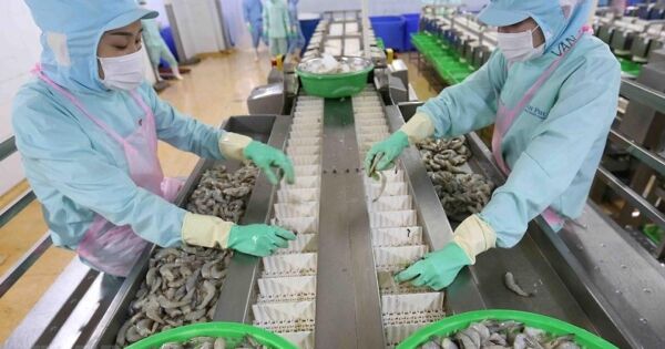 VASEP: Xuất khẩu tôm sang Mỹ có thể chưa phục hồi nhanh vì tồn kho cao