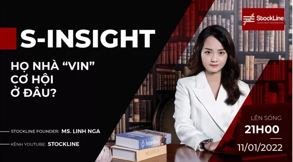 S – Insights #5: Họ VIN – Cơ hội ở đâu? (11/01/2021)