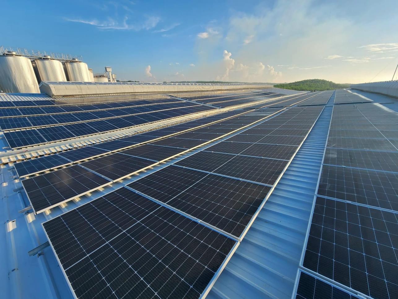 REE - Bổ sung bốn nhà máy điện mới trong năm 2026